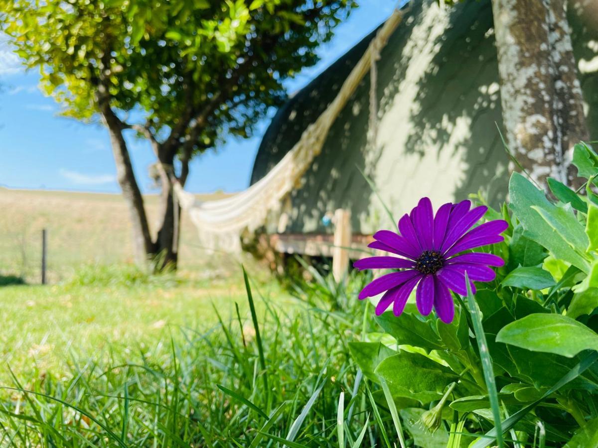 Country house Glamping Turquesa, Feel And Relax In A Wood House Corredoura